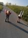 img-f29d7436cca5a8881ad9e25250b67b0d-v