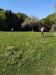 img_20200424_091653
