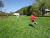 dsc04697_0